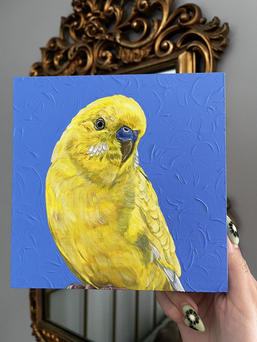 lovebirds!! hershey &amp; kisses’ portraits 🐣