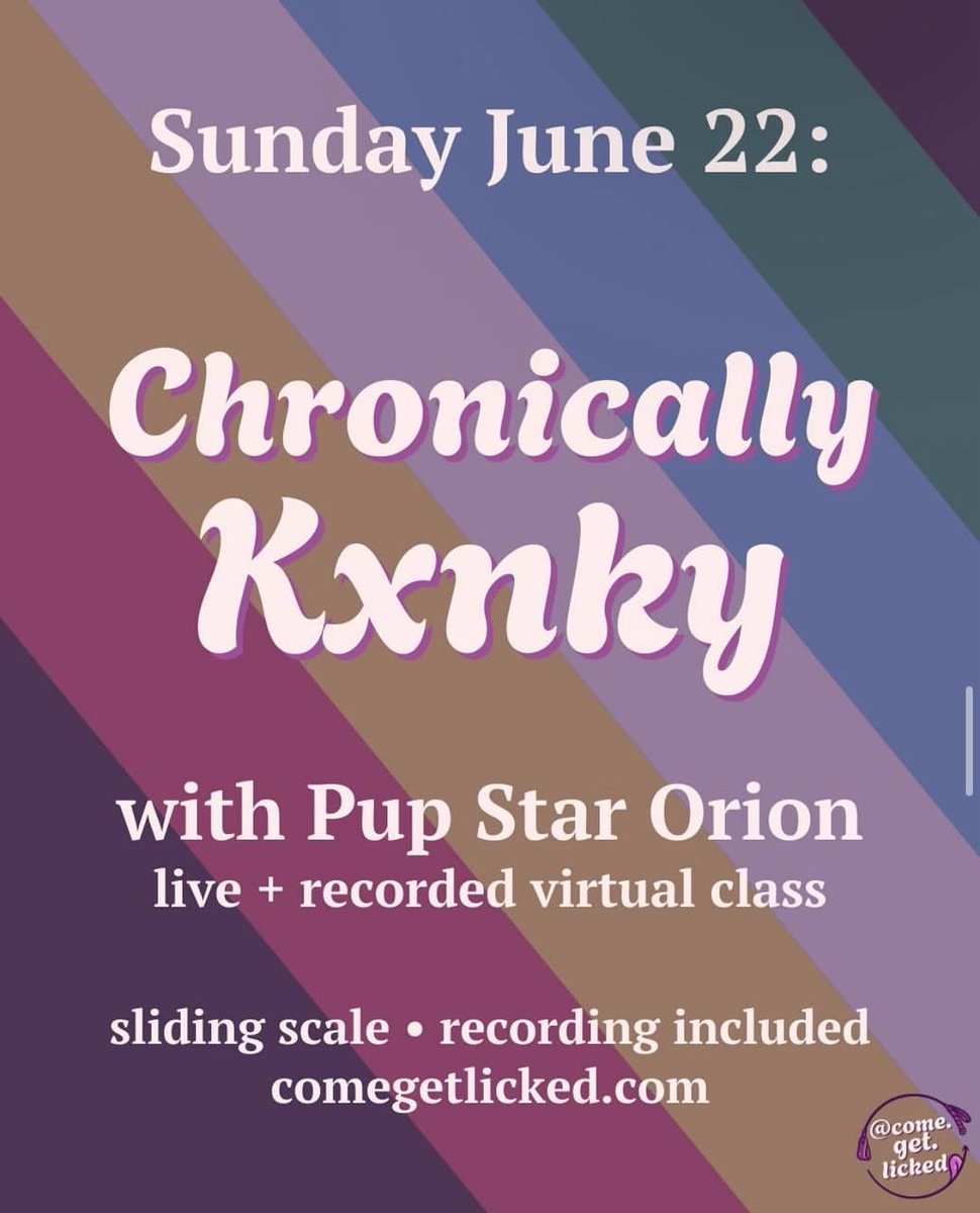 International Puppy and Trainer Contest tweet media