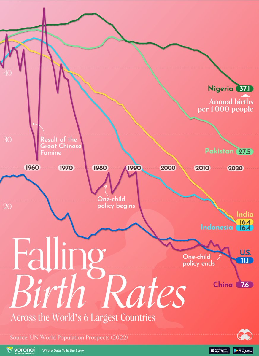 Visual Capitalist tweet media