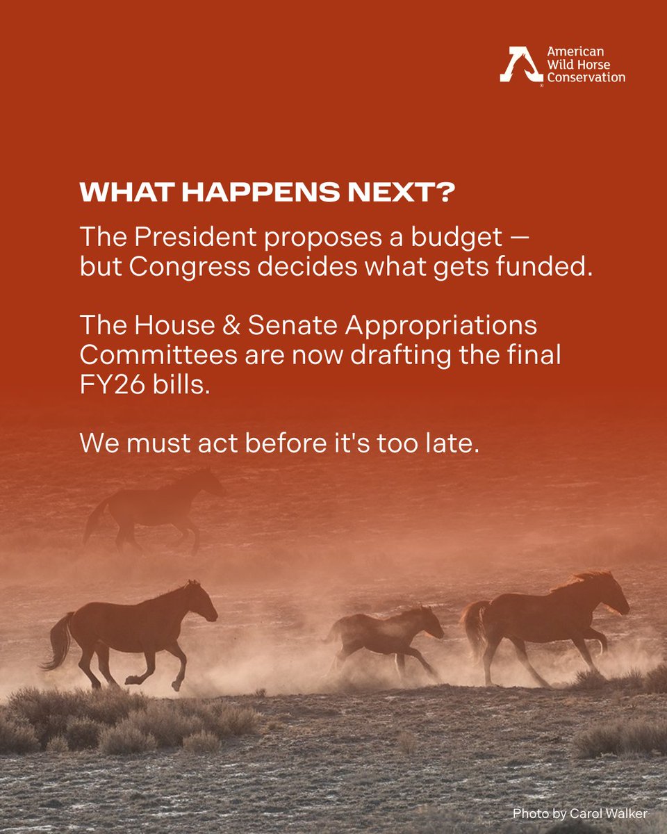 FreeWildHorses's tweet photo. Up to 64,000 wild horses and burros currently in holding could be shipped to slaughter across U.S. borders under the Trump Administration’s FY26 budget proposal. We’ve been here before and together, through the power of your advocacy, we kept slaughter OFF the table. Stay tuned. https://t.co/G19cGdXj5j