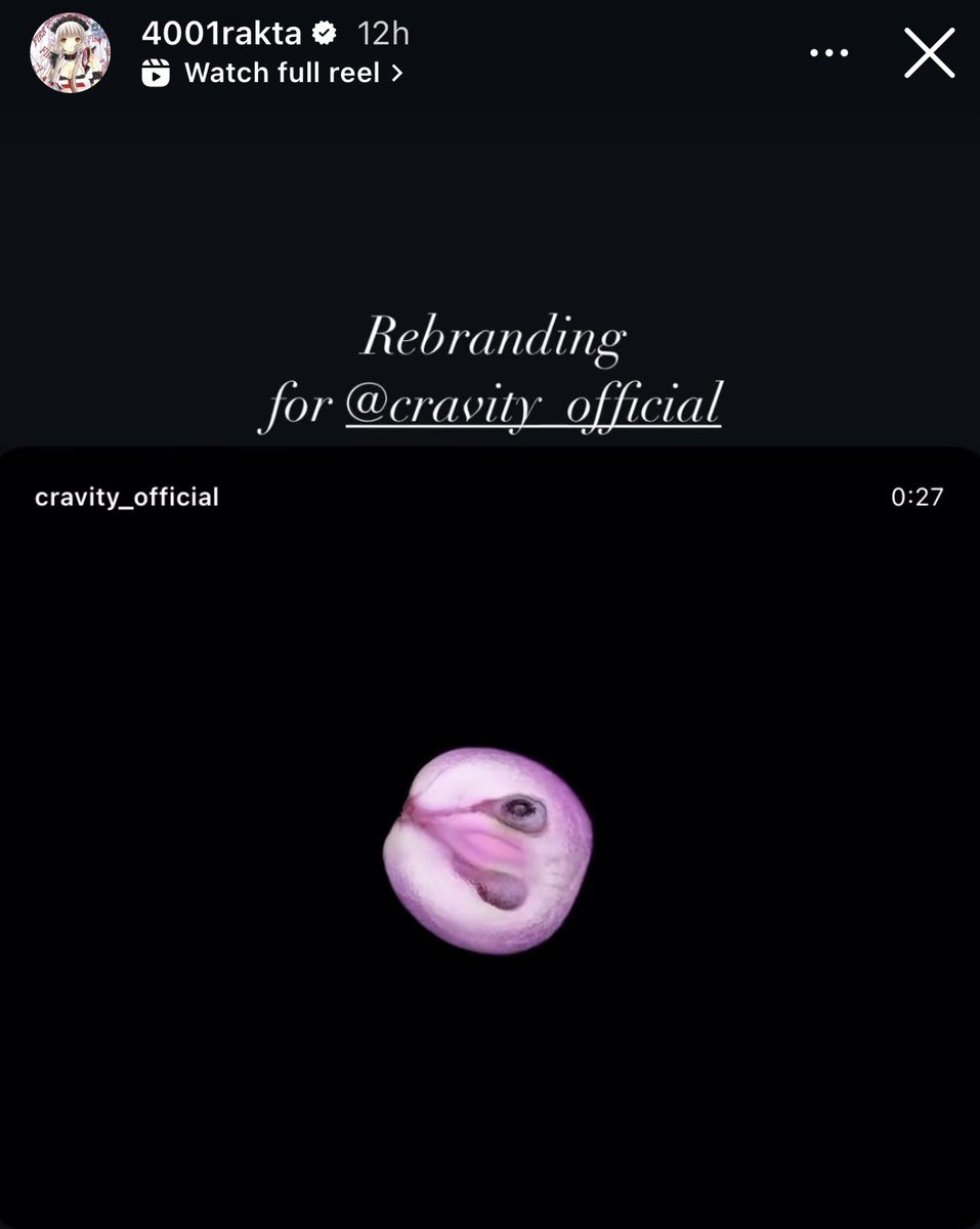 Wow… so the creative team behind Cravity’s rebranding and Dare to Crave concept is Rakta’s creative team?!?? She was TXT’s visual director!!🍇