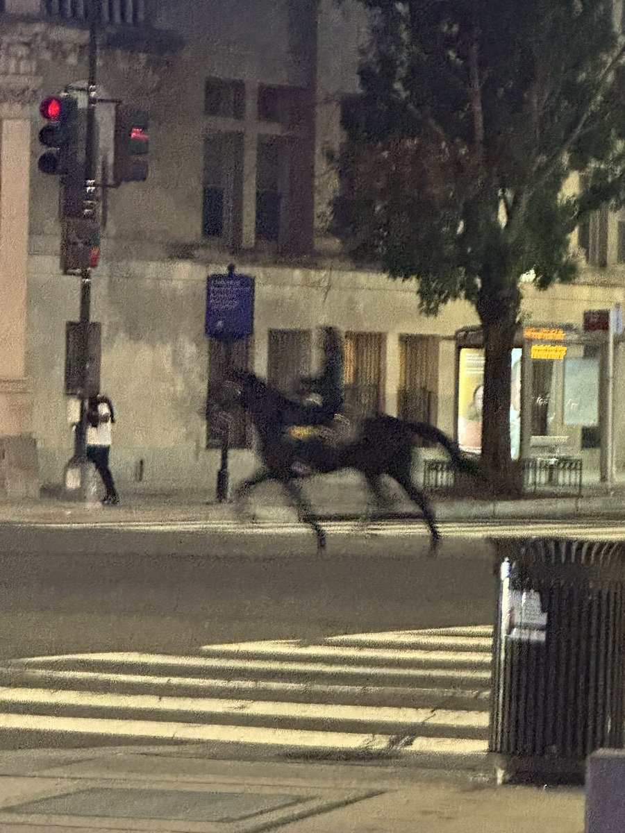 coldbip's tweet image. Um @PoPville… anyone know why there are horses galloping through 7th &amp;amp; RI NW?