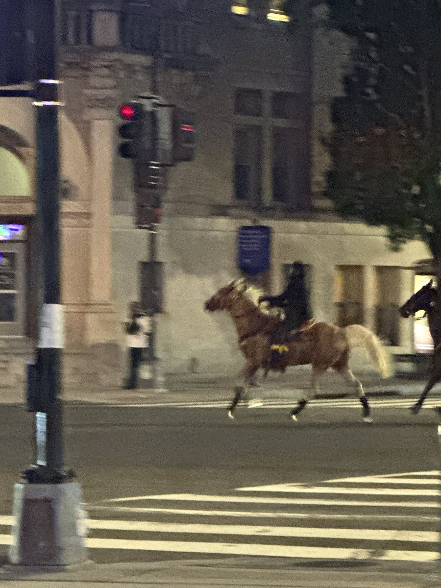 coldbip's tweet image. Um @PoPville… anyone know why there are horses galloping through 7th &amp;amp; RI NW?
