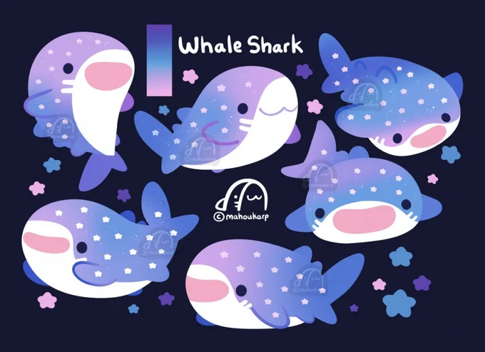 whale sharks