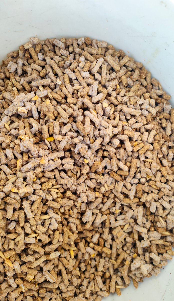 THINK FOR YOURSELF 🧠 tweet media