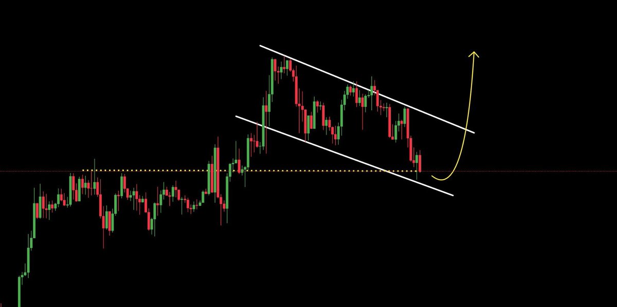 Alphadropp's tweet photo. $GORK Bullish rebound is in sight https://t.co/AMsXtQ2gQz