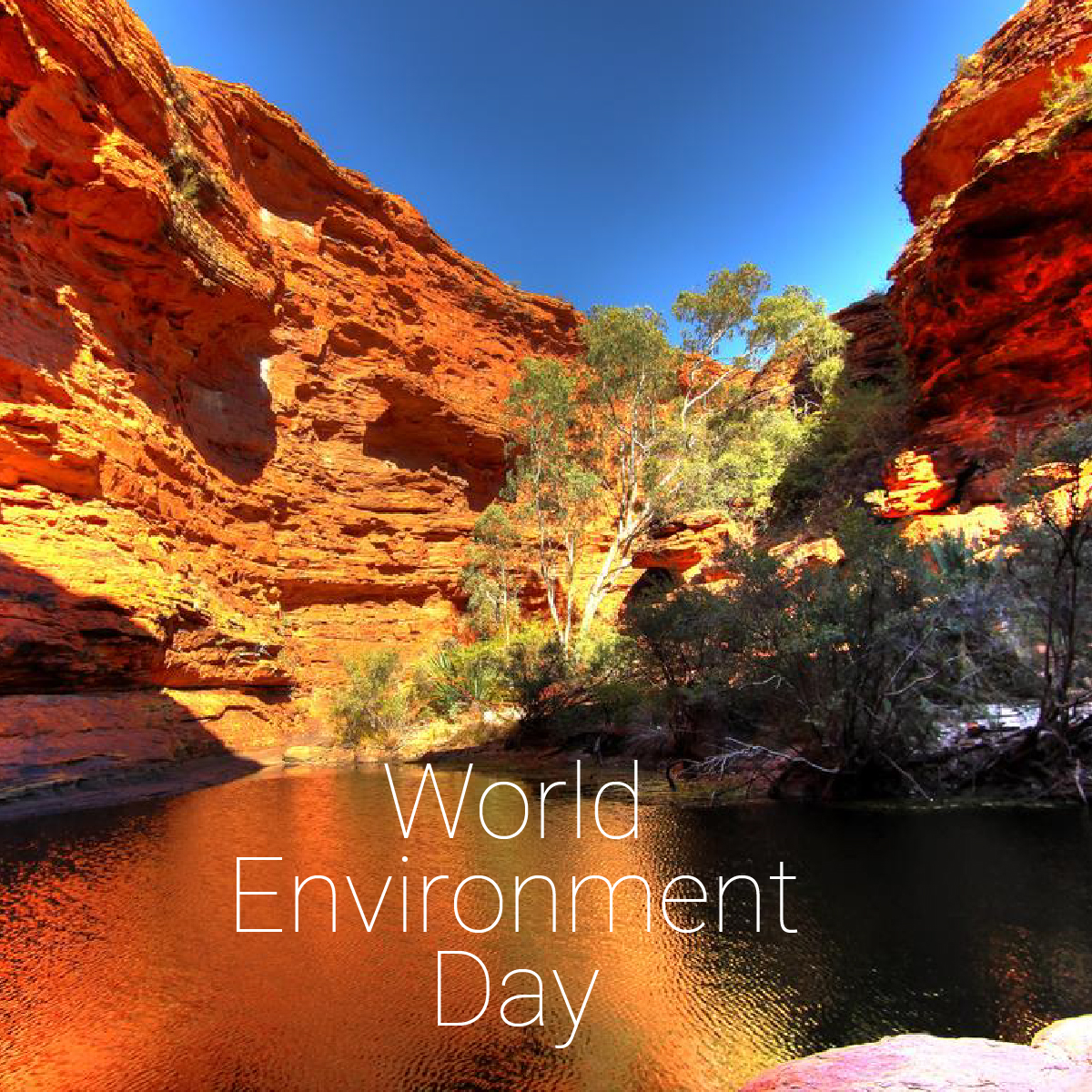 PrescienceTech's tweet image. Australia’s environment is like nowhere else: ancient coastlines, vast deserts and rich biodiversity, our natural landscape is iconic & fragile.
#TeamPrescience is proud to be contributing to some of the most exciting green energy projects in the country.