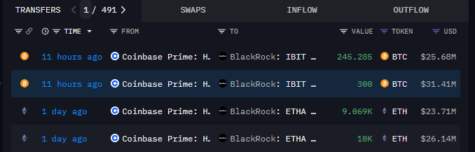 根币出圈 tweet media