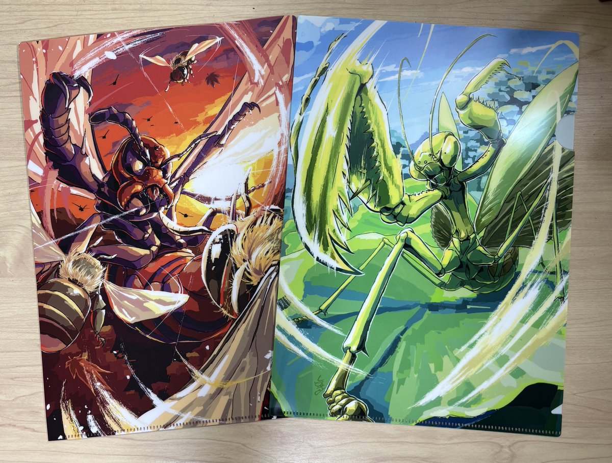 #博物マニア 開催前、最後のグッズの告知になります！
オオカマキリの強襲、オオスズメバチvsニホンミツバチの決戦のイラストが装飾されたクリアファイルを販売します！
各種500円で販売しますよ〜！！