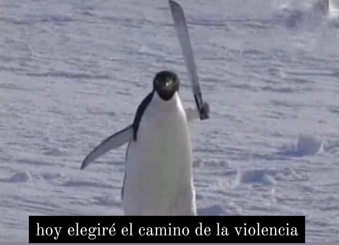 Bueno bueno, voy a hacer un hilo que nadie pidió explicando la situación del servicio de imágenes del hospital de clinicas, porque se me canta y pq me canse.