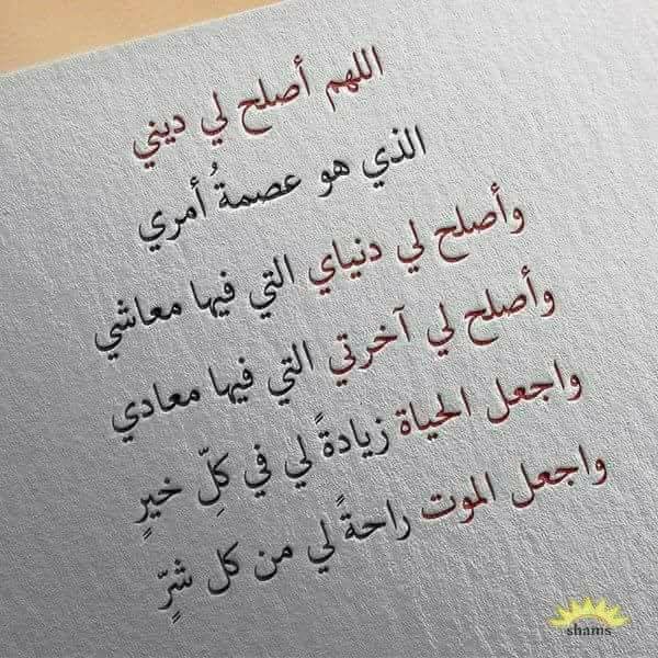 Alaa_00011's tweet photo. https://t.co/QGdupqURVV