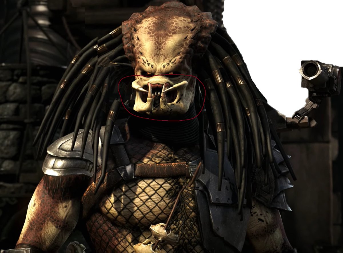 Thomas Shepherd tweet media