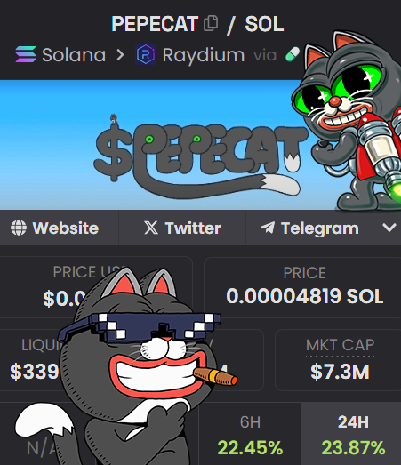 pepecattoken's tweet photo. They sold. We held. #PEPECAT pumped. This is how legends rise. ๐พ๐
$PEPECAT #PepecatSeason #DimondPaws #Catcode https://t.co/vXc1l19Fhh