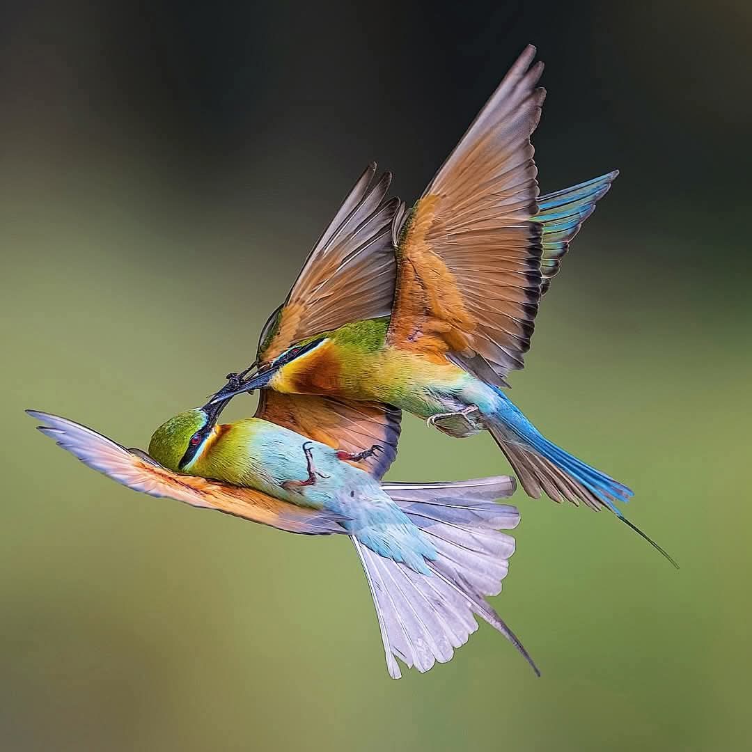 Good morning 🔅

Hello everyone. Have a beautiful day