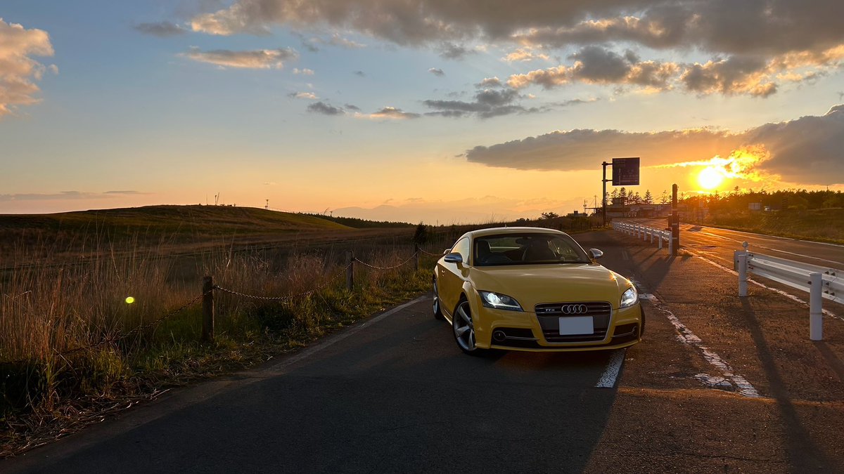 シカめっちゃいて危なかった