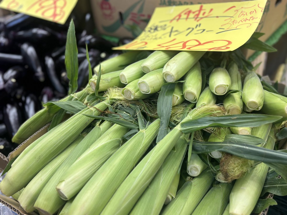 ニュージーランドのりんごが今旬です！
味も濃ゆくてシャキシャキです！！
大盛りお買い得です！
野菜はとうもろこしですね！！！！！
オススメ👍🏻👍🏻
#スターフルーツ麻布十番#スターフルーツ#野菜#果物#小泉米#備蓄米#ゴールドラッシュ