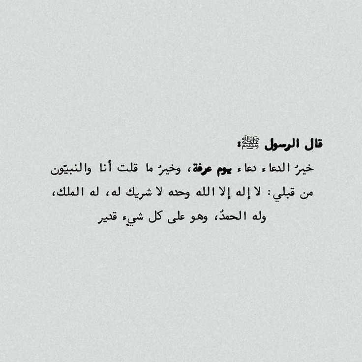 تاء . tweet media