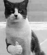 Yooo! 
So stoked to announce that my newest EP will be featured in <a href="/UnbeyondA/">Unbeyond Anthologies</a>  for the first time! - Dropping June 9th 

Pre-save / Pre-order link in my bio.