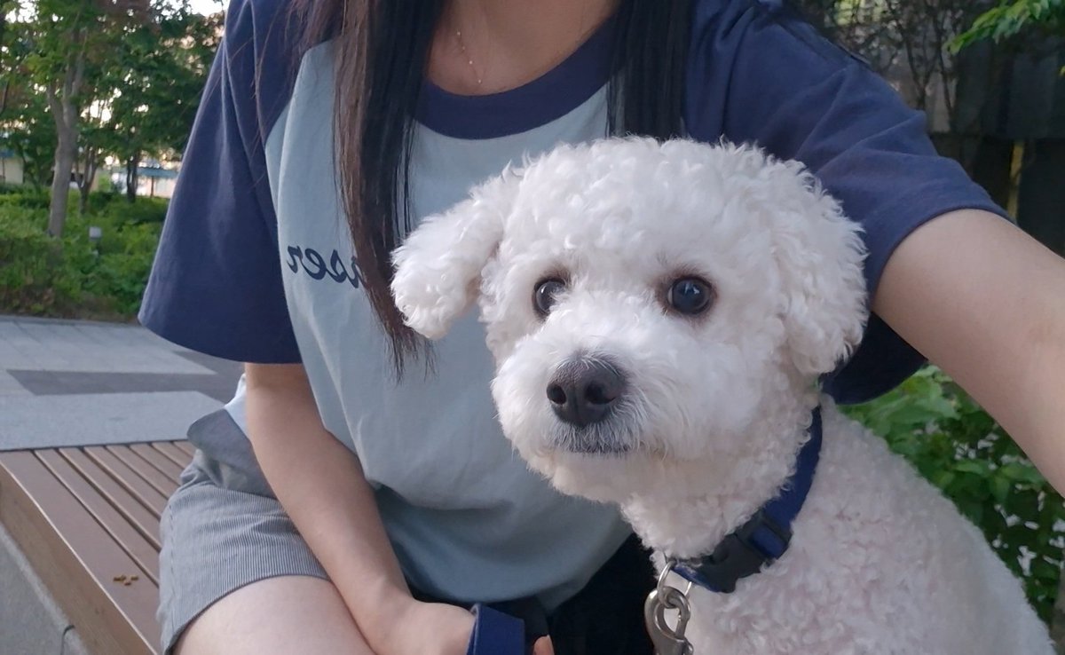 비나리🕯 (@vinari1013) on Twitter photo 