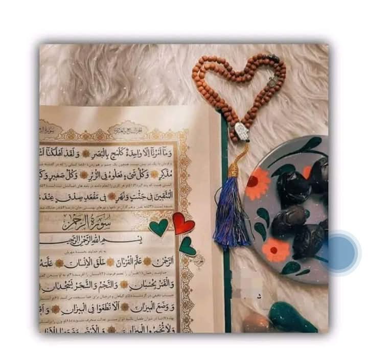 "- رب کے کتنے احسان ہیں ہم پر 
کبھی پڑھ کر سورت الرحمن دیکھنا •"😇🌸✨