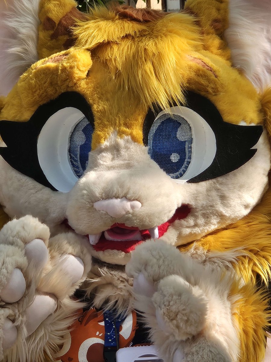 XxCreamPufffxX's tweet photo. went to a fursuit meet this past wednesday!!! I had a ton of fun!!!! :D

pictures: @Purpl3Ti3Gaming 

@Zirconiconium https://t.co/DRkq4CXkXv