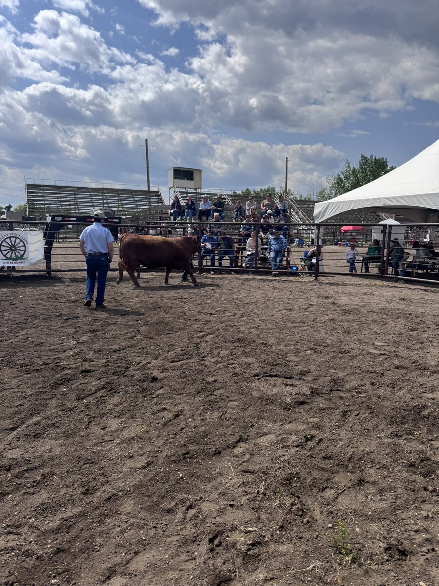 CORE Ag - Strathmore tweet media