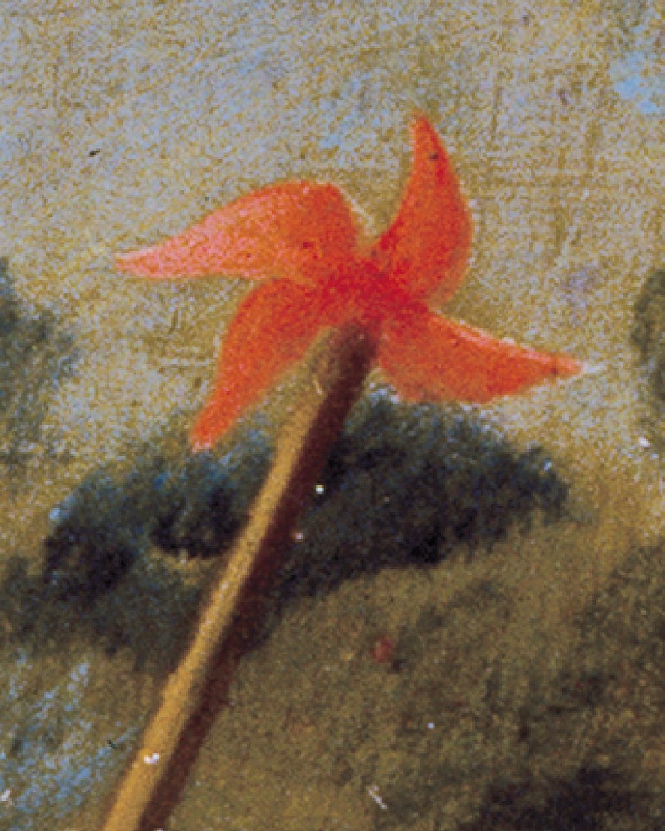 El #Rehilete viajó desde Asia a Europa y después a México. Aquí, lo hicimos girar con carrizo, papel y color.
Viento, juego y memoria: infancia que no deja de dar vueltas.

#JuegoMW
#GameMW