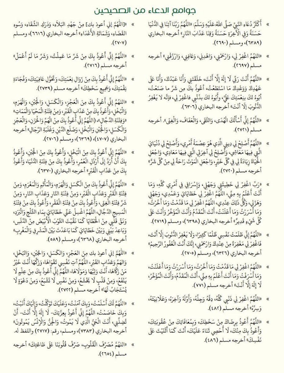 Bander 🇸🇦 tweet media