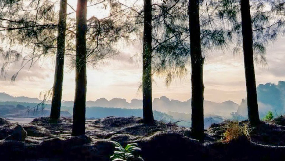 5 มิถุนายน #วันสิ่งแวดล้อมโลก2568 #WorldEnvironmentDay2025  แดดกำลังมา เช้าหลังฝนโปรยปรายเมื่อคืน <a href="/MrVop/">ѴѺҎ</a>