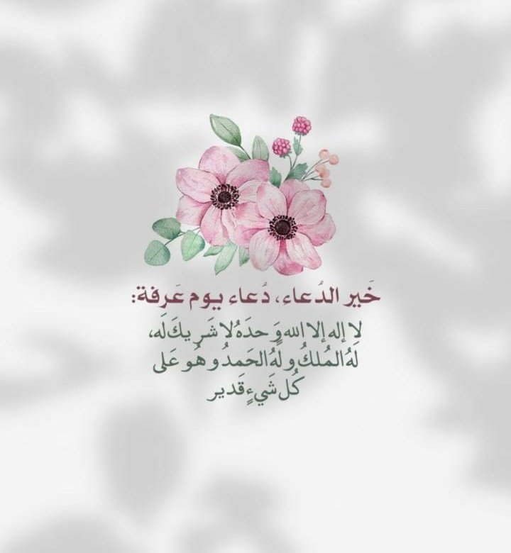 b3rb0shi's tweet photo. قال النبي ﷺ: 
خير الدعاء دعاء يوم عرفة، وخير ما قلت أنا والنبيون من قبلي:
"لا إله إلا الله وحده لا شريك له، له الملك 
وله الحمد، وهو على كل شيء قدير" https://t.co/K8AFTz2Egb