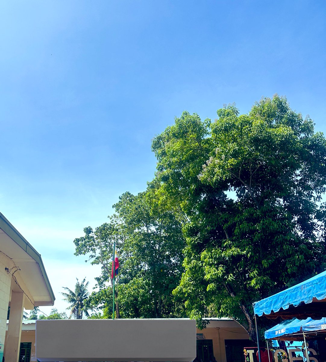 My last BRIGADA ESKWELA in the Department of Education 💕

Thank you my DepEd Family 🫶
Forever Grateful to you my dear City🙏