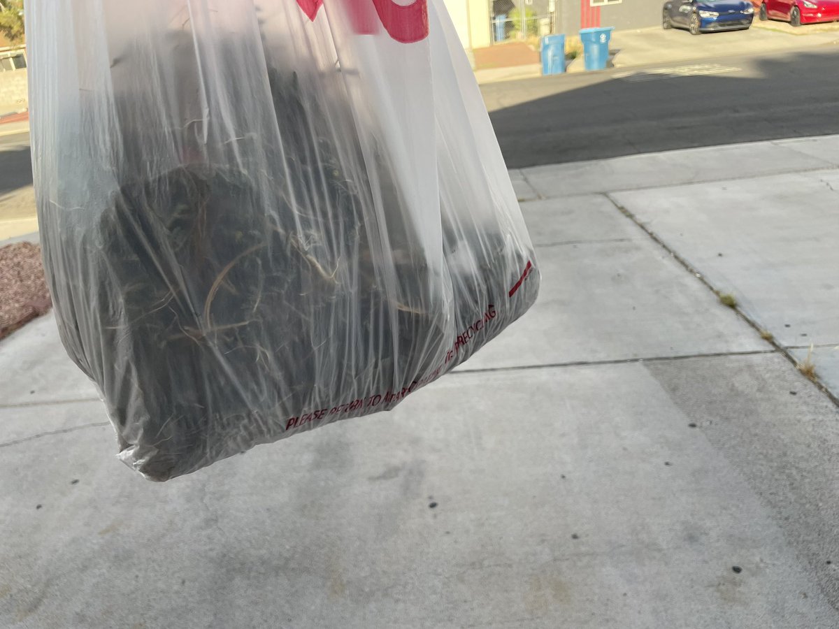 chalupachoco's tweet image. Aaand done