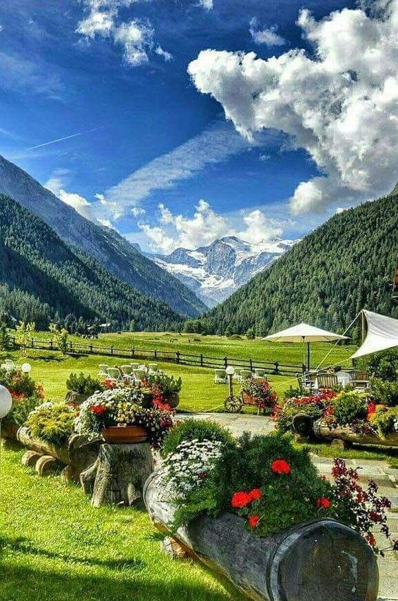 🌲☀️🌲Good morning 🌲☀️🌲