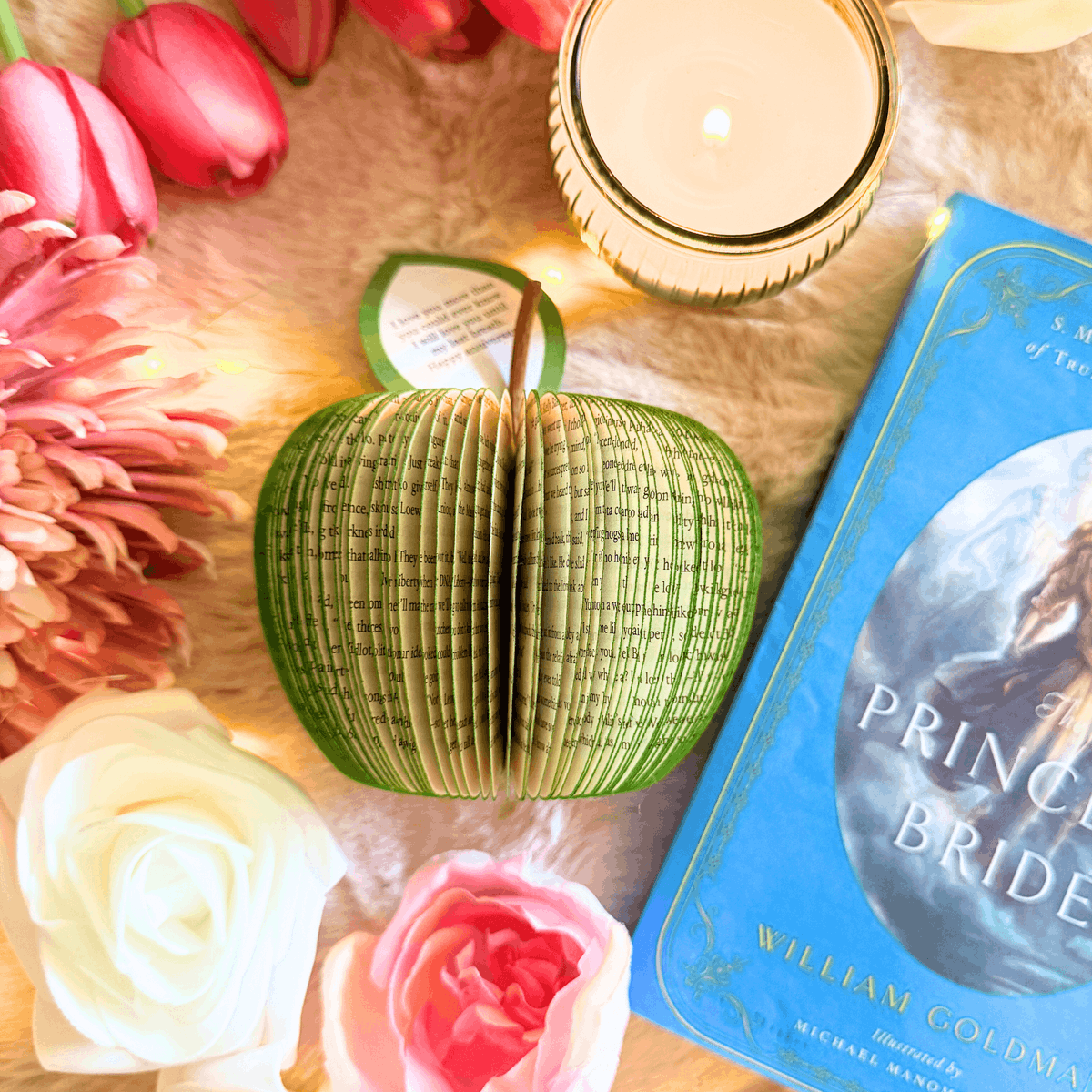 Paperappleco's tweet photo. The Princess Bride Book Gift https://t.co/NZERSCq3lP #Shopify #MyNewTag #CreatonCrafts #mhhsbd #OrigamiGift https://t.co/Fg7iYtYOJx