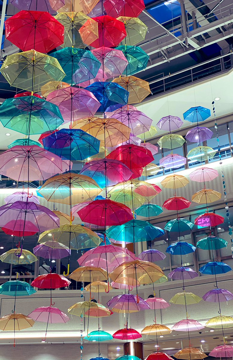 puuuusan4's tweet photo. イオンモール北大路の
アンブレラスカイ☂️ᕷ*.°
今年も330本の色とりどりの傘が
ぷかぷかしてましたよー
可愛い♡

7月16日まで☝🏻 https://t.co/JIjus7s714