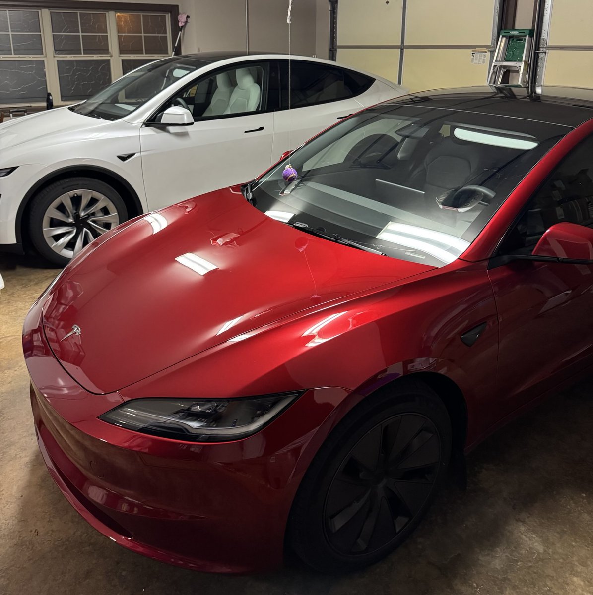 Sparky (M3) and Zippy (MY) say good night, y’all💤🌙😴