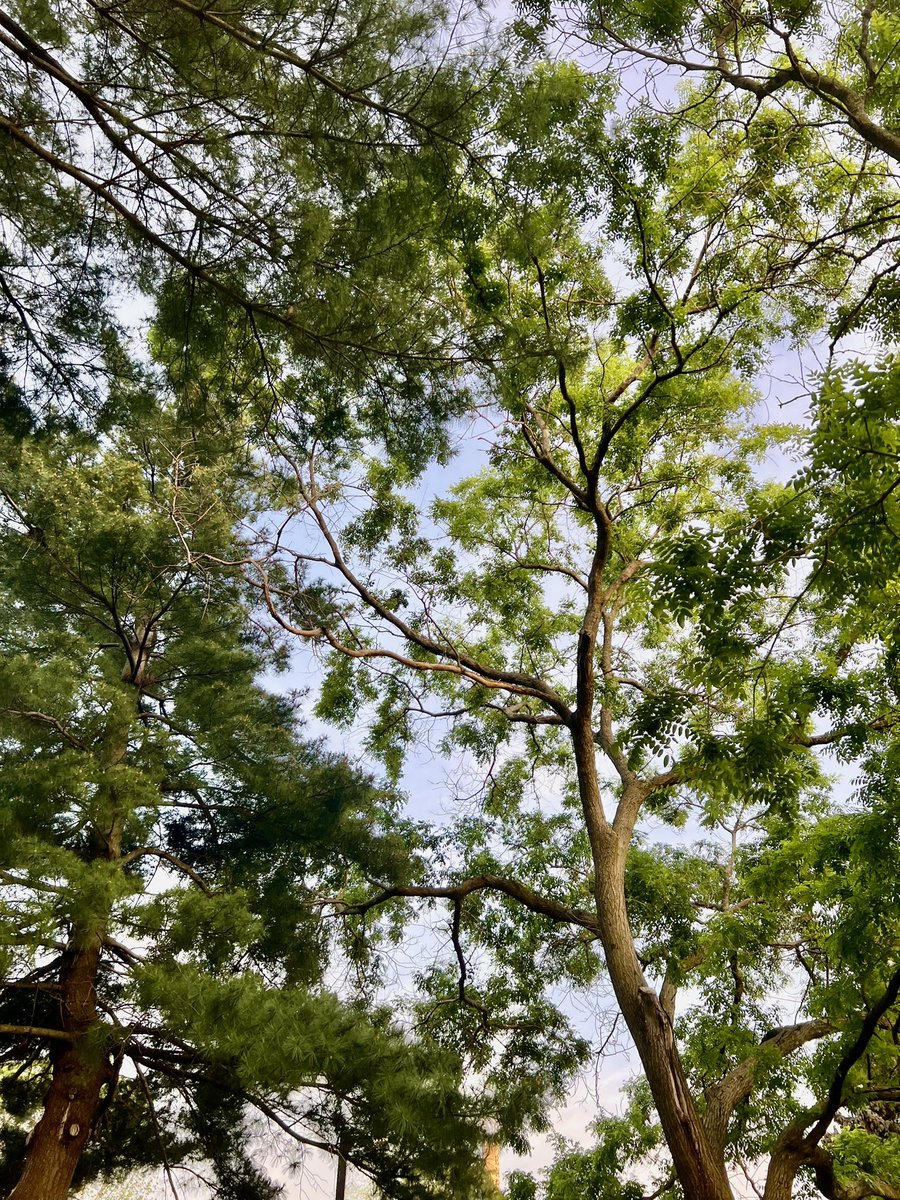 TabarLina's tweet photo. Day 1: grateful for life, fam and 85 degree weather 💗 https://t.co/uBJeXk7fVY