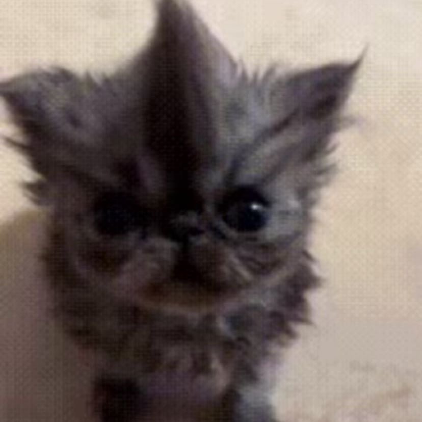 W (@s675568) on Twitter photo 