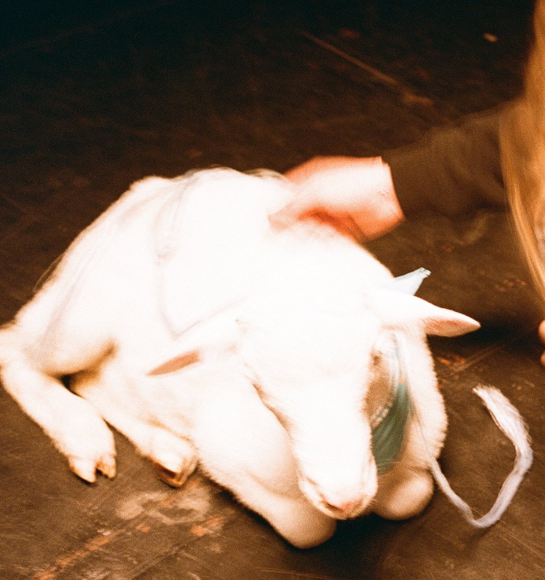 untiljapan tweet media