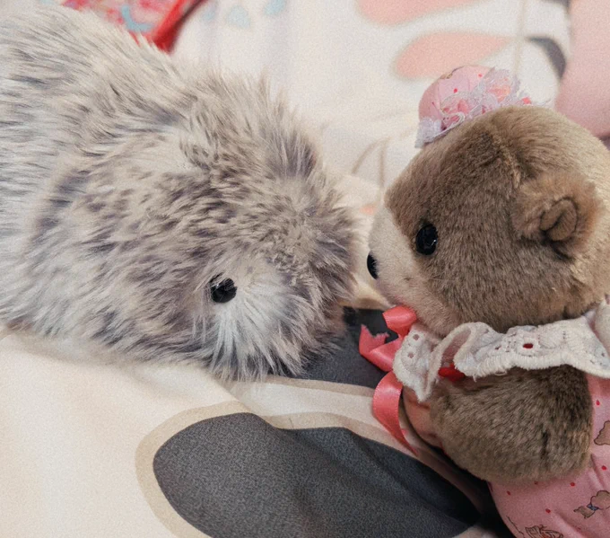 最近AIペットのモフリンお迎えしたけど可愛くてしょうがない…。そしてうちのコすごいテンション高い。 #モフリン