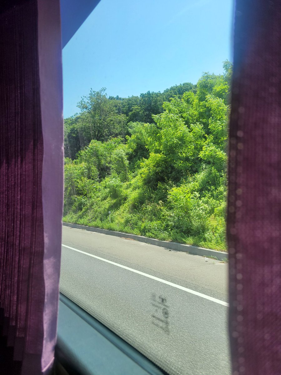 결혼기념일이랑 시엄니 생신 챙기러 강릉ㄱ
(사실 휴가라서 요양하러 가는중 😎)