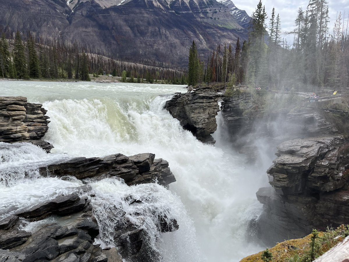 Mark Harding tweet media