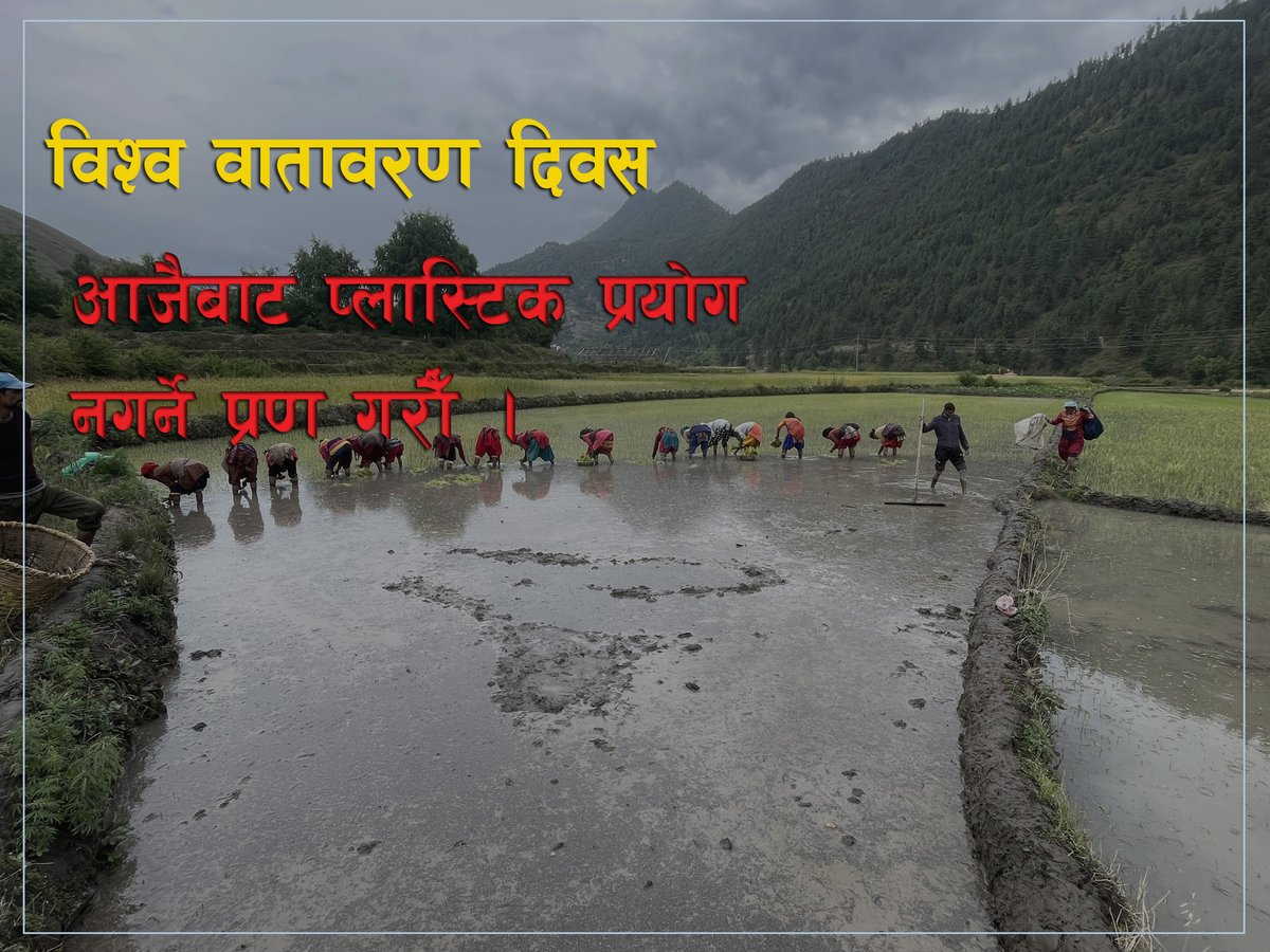 mefossils's tweet image. आउनुहोस आज १ दिन वातावरणीय राह्स बारेमा चिन्तन गरौं । भोलीदेखी देखाजाए। #saveenvironment #savegreen #Nepal #WED2025