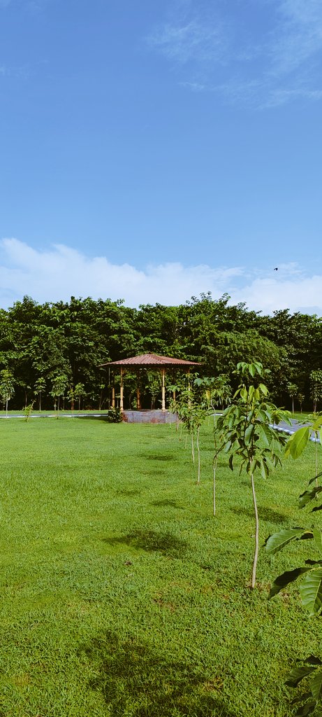 prabhulalthakur's tweet image. #anilsinghvi