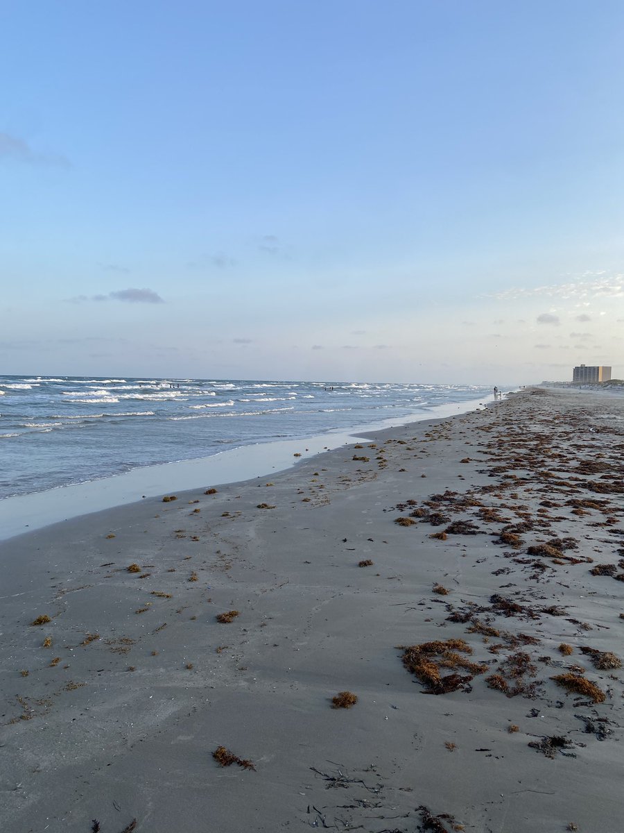 Permian Orchestra tweet media