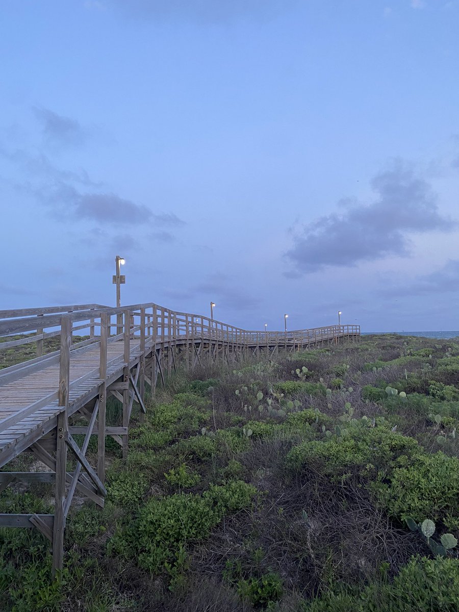 Permian Orchestra tweet media