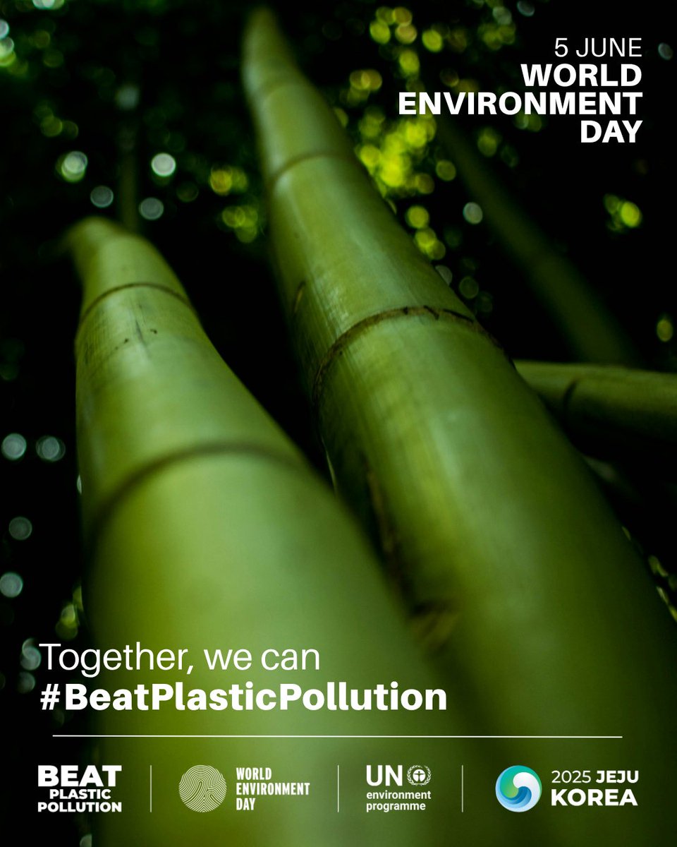 Happy World Environment Day! 🎋

At INBAR, we champion the power of #bamboo and #rattan to build a sustainable, resilient, low-carbon future.

From housing to clean energy, they’re nature-based solutions that support both people and the planet. 💚

#WorldEnvironmentDay2025