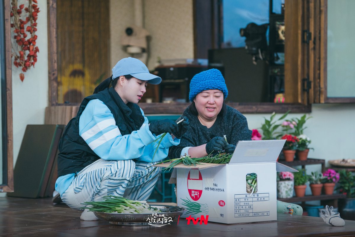 chtvn's tweet photo. <언니네 산지직송2> 9화 비하인드 스틸🎣

저녁엔 쪽파 어때 파전 어때 파김치 어때
무궁무진 쪽파 활용법🤤

<언니네 산지직송2>
[일] 저녁 7:40 tvN

#tvN #언니네산지직송2
#염정아 #박준면 #임지연 #이재욱
#같이달려tvN #스트리밍은TVING https://t.co/apAtmYWh8Z