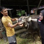 Photo by antung apriana 🍉 (@ayanapunya)