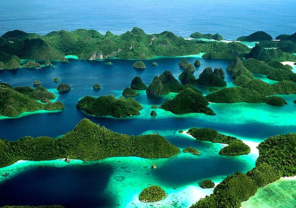 Save Raja Ampat!

Musnahkan oligarki, selamatkan ekologi!